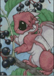 (image for) Elderberries